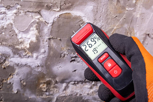 Best Certified Mold Removal  in Inver Grove Heights, MN