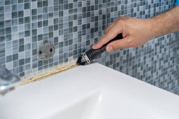 Best Mold Testing  in Inver Grove Heights, MN